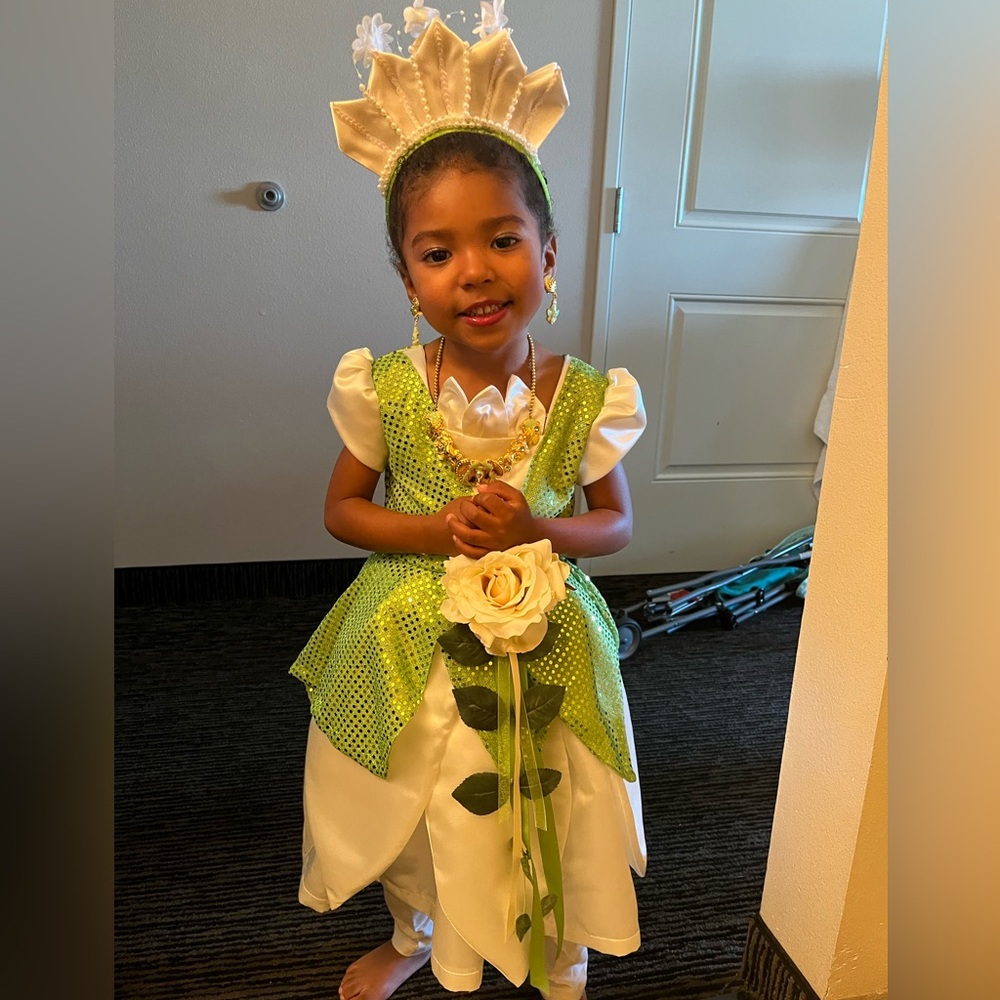 Home Sewn Princess Tiana Costume - Picture 7 of 7